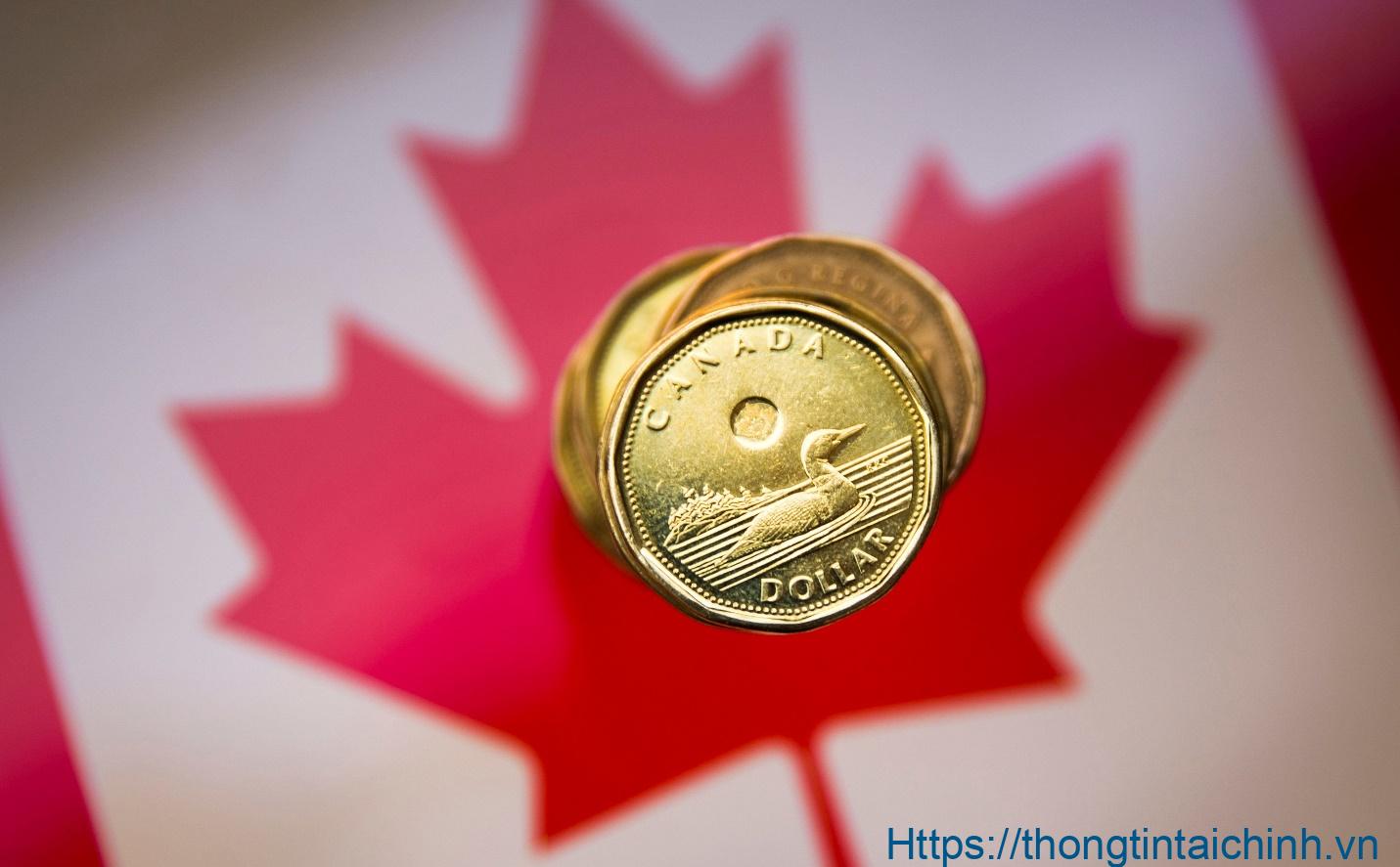 1 đô la Canada bằng bao nhiêu tiền Việt? 